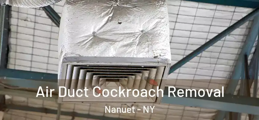  Air Duct Cockroach Removal Nanuet - NY