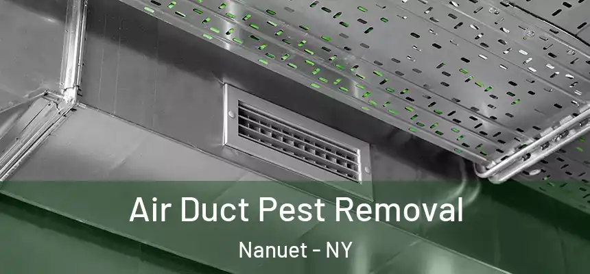  Air Duct Pest Removal Nanuet - NY