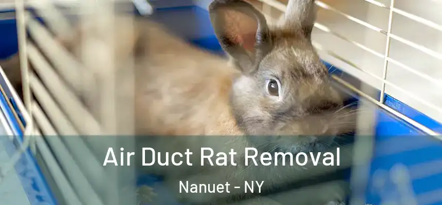 Air Duct Rat Removal Nanuet - NY