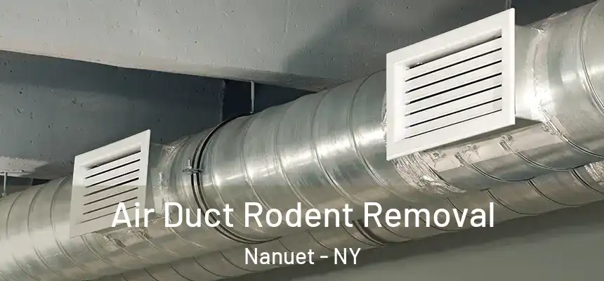  Air Duct Rodent Removal Nanuet - NY