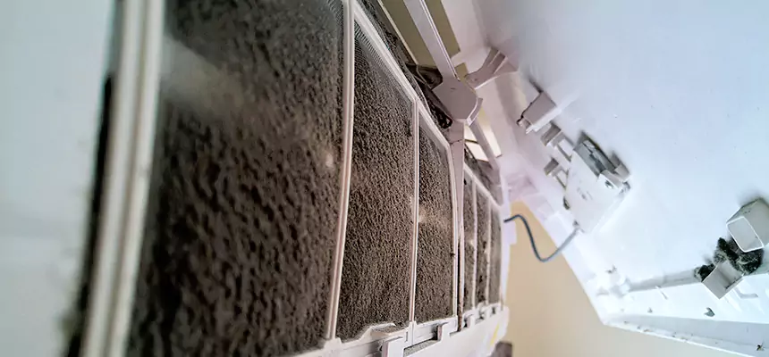 Preventive Air Duct Bacteria Removal in Nanuet