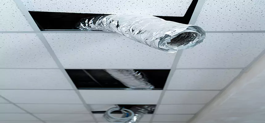 Our Air Duct Pet Hair Removal Services in Nanuet, NY