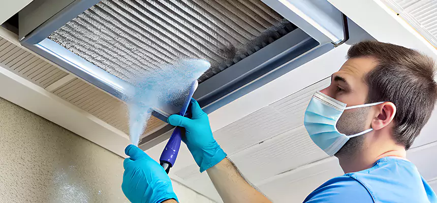 Proactive Dryer Vent & Auxiliary Duct Pollen Cleanup in Nanuet, NY