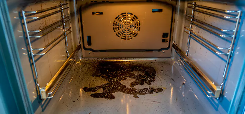 Our Dryer Vent Mold Cleaning Services in Nanuet, NY