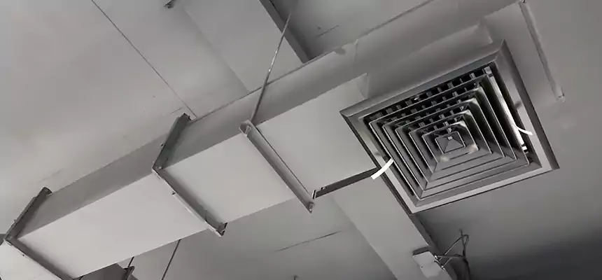 Our Rodent Droppings In Vents Services in Nanuet, NY