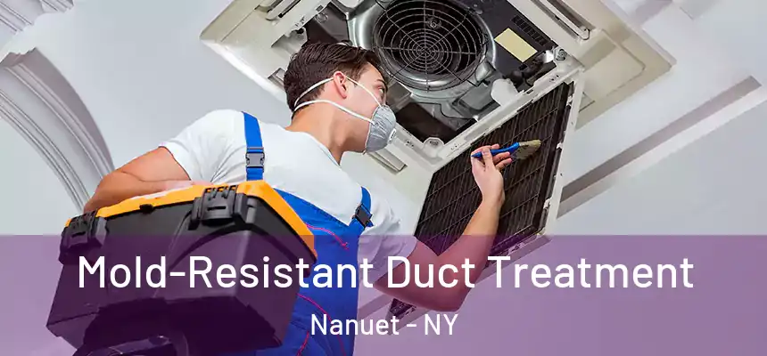  Mold-Resistant Duct Treatment Nanuet - NY
