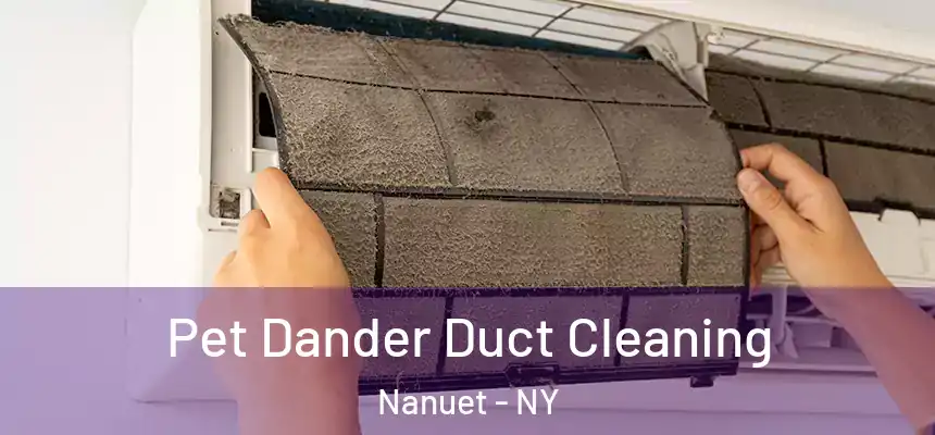  Pet Dander Duct Cleaning Nanuet - NY