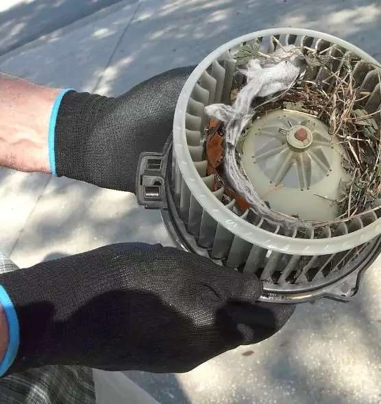 About Air Duct Rat Removal in Nanuet, NY