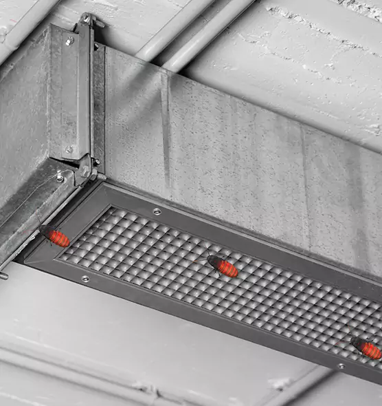 Affordable Insect Removal from Air Ducts in Nanuet, NY