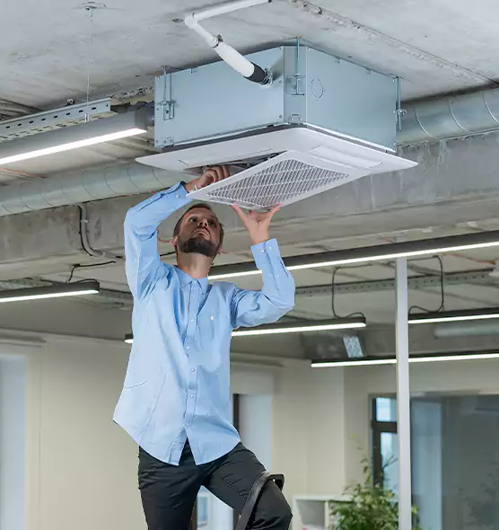 Advanced Rodent Droppings In Vents in Nanuet, NY